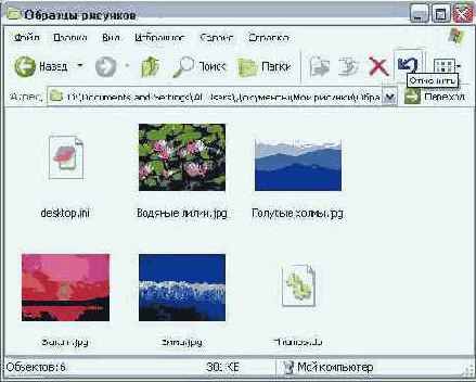    (My Pictures)